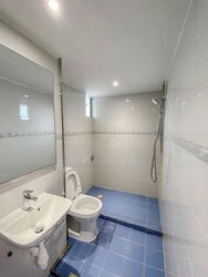 Dunearn Road (D11), Condominium #482575841